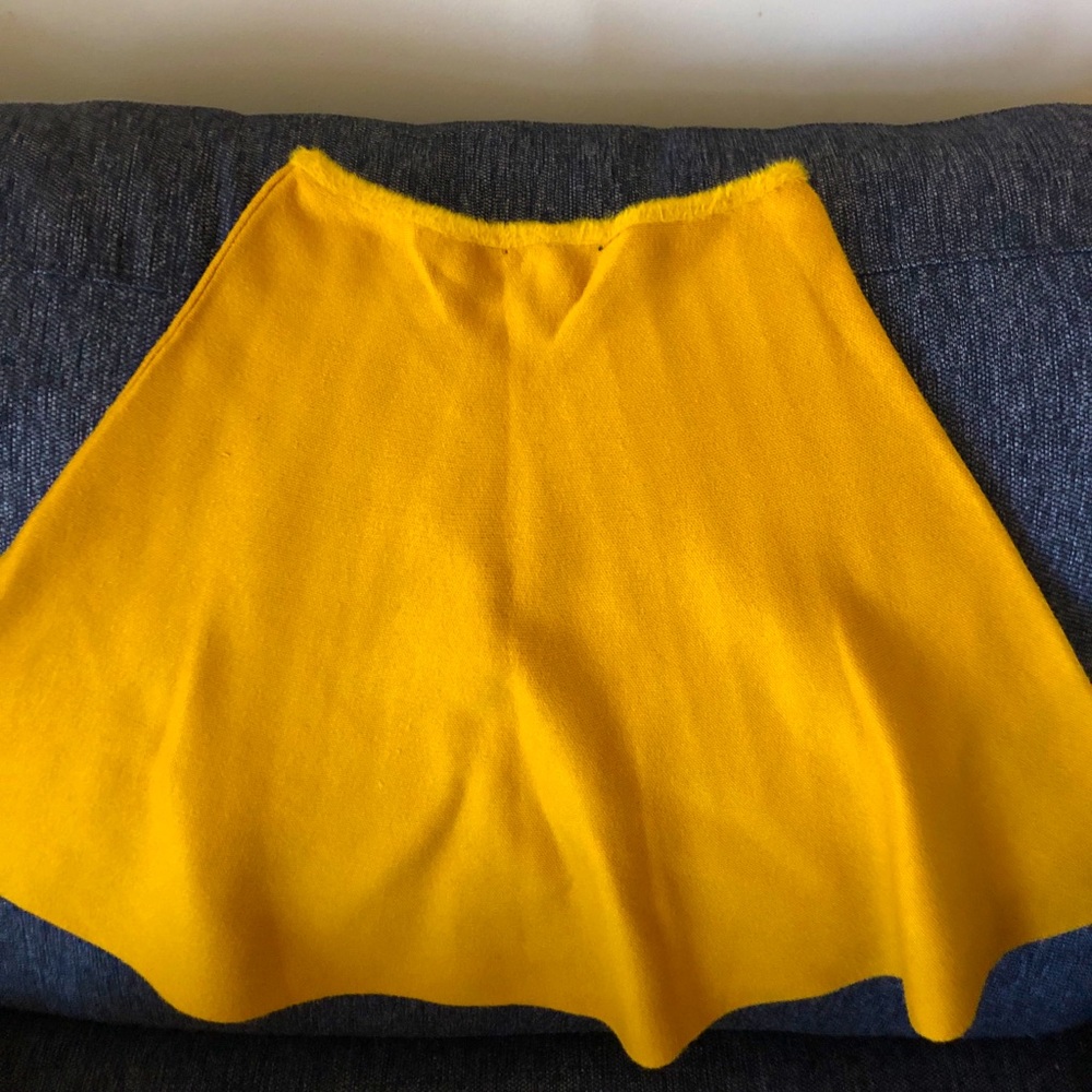 Zara knit skirt